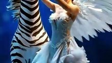 Wait for the ending! 😱 Zebra or Angel?"