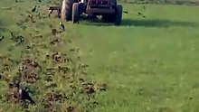 Tiktok_1777719329343