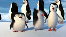 Penguins Of Madagascar 2014 - 001