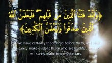 سورة العنكبوت | آيات 1-5 | Surah Al-Ankabut 29:1-5 | تلاوة خاشعة تريح القلب