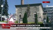 Bolu'da Osmanlı'nın merhamet simgesi kuş evleri yuva olmayı sürdürüyor