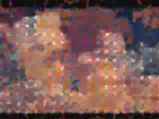 athan cheikh el albani