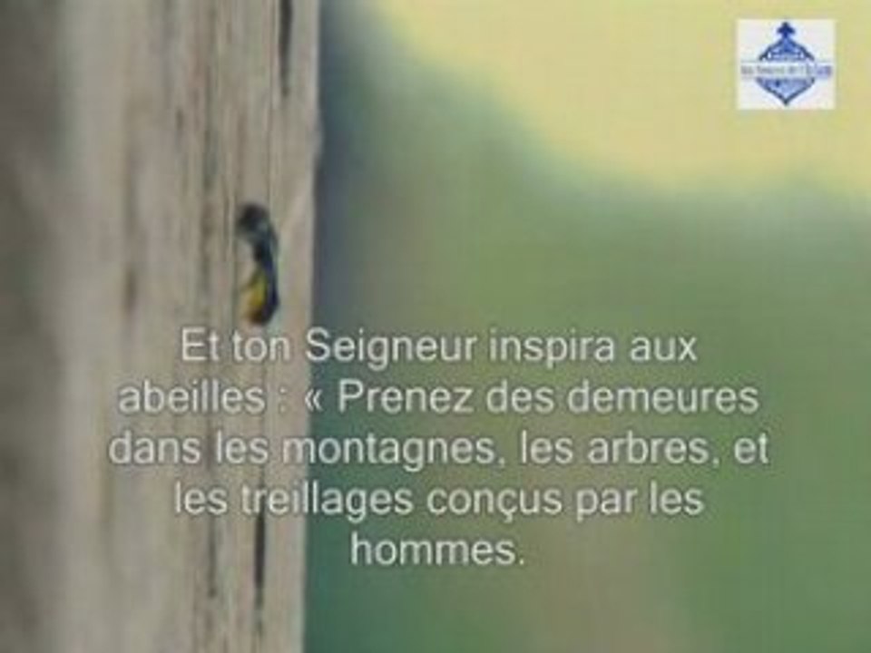 Ne voient-ils pas  part3