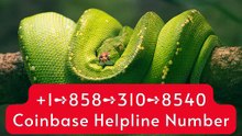 ++9.^9..%{{Connect©}} of 『Coinbase CUSTOMER®』 SERVICE© CARE℗ NUMBERS TOLL FREE NUMBER: Easy Step by Step Guide