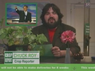 Crop Report “Barrack Obama”