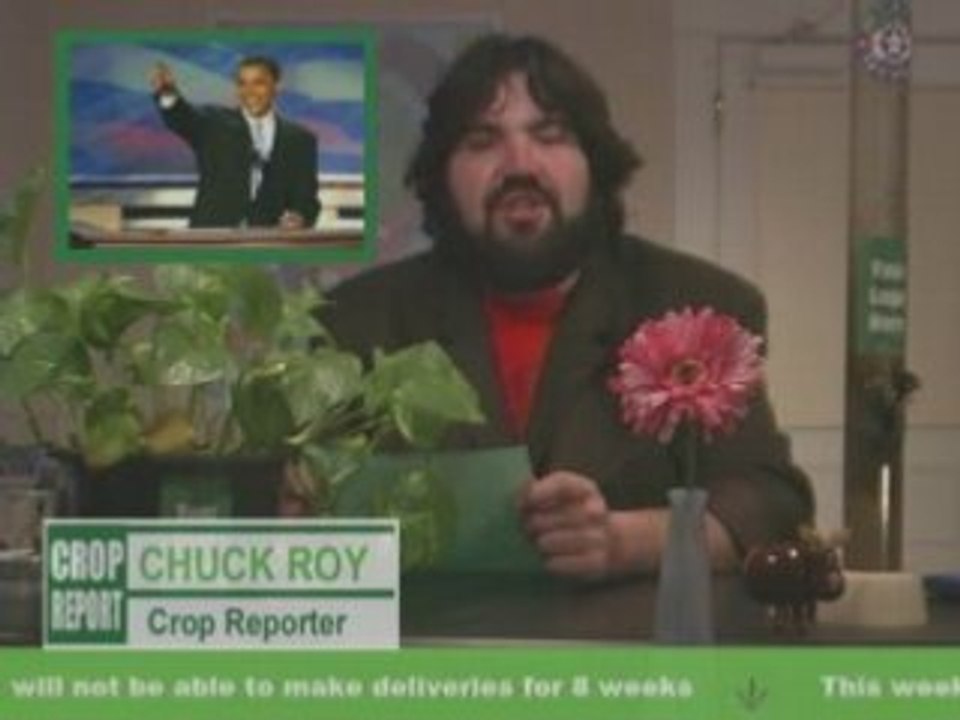 Crop Report “Barrack Obama”