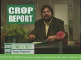 Crop Report - 30 Second Crop Report