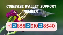 E↫↫asy ≋≋Full™ -24/7™ List of Coinbase Wallet Support® Contact Numbers