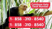 【ALL-IN-ONE】 ≋【Coinbase® {Customer Care SuppoRt}™ — Toll-Free Numbers & Support Options