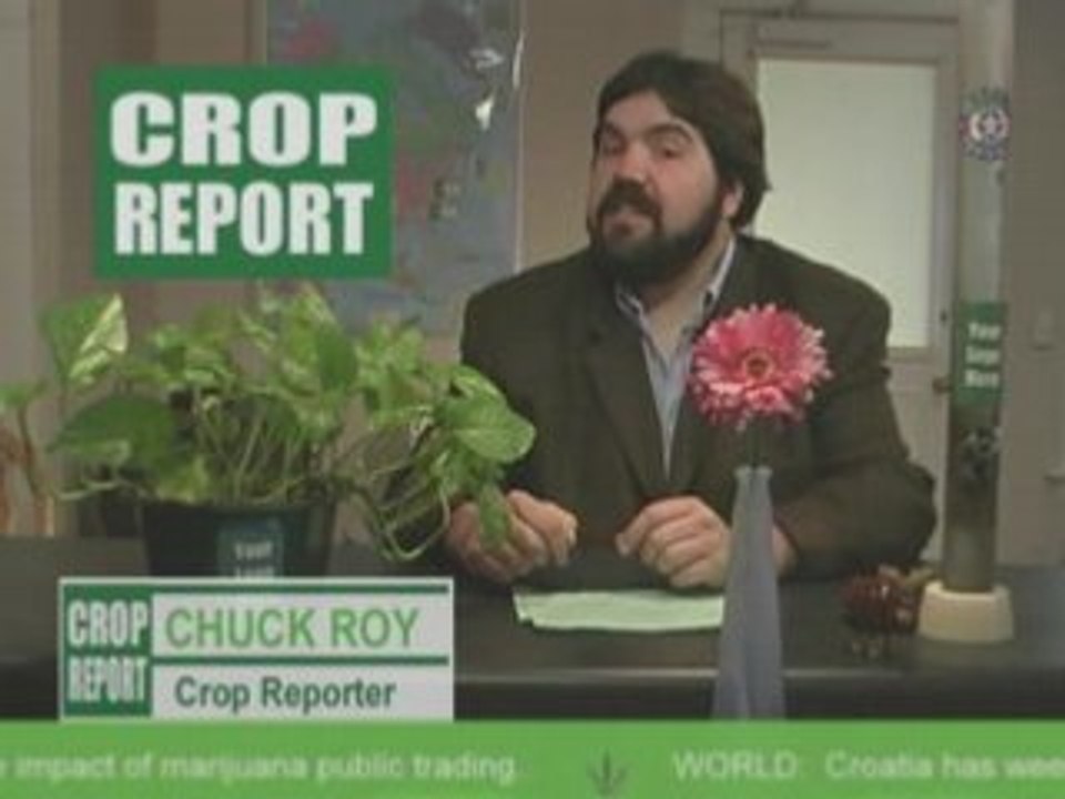 Crop Report – Helen’s Baked Goods