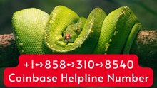 O=f=f=i=c=i=a=l™️ [[Coinbase WALLET SUPPORT ]] care® Contact Numbers in the U=S=A