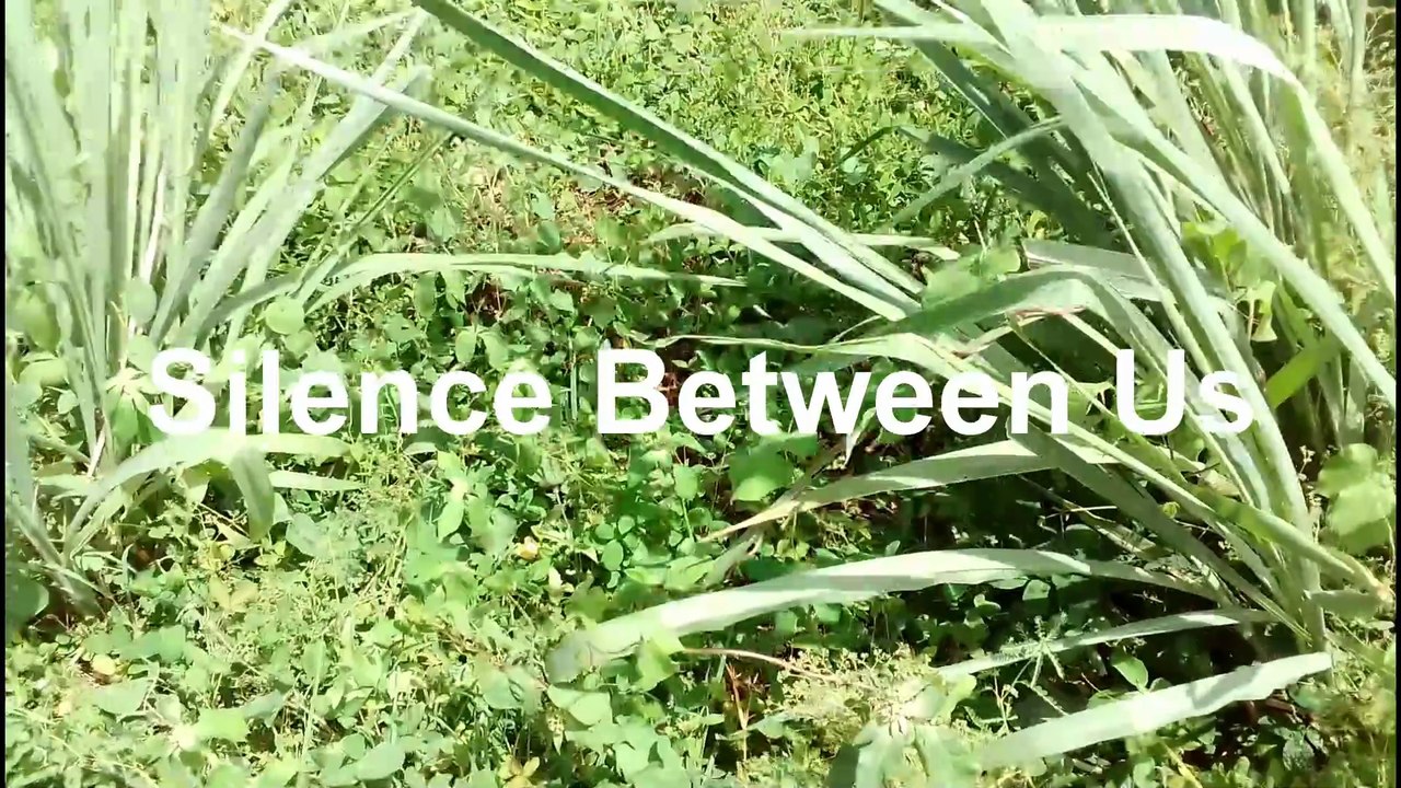 SILENCE BETWEEN US