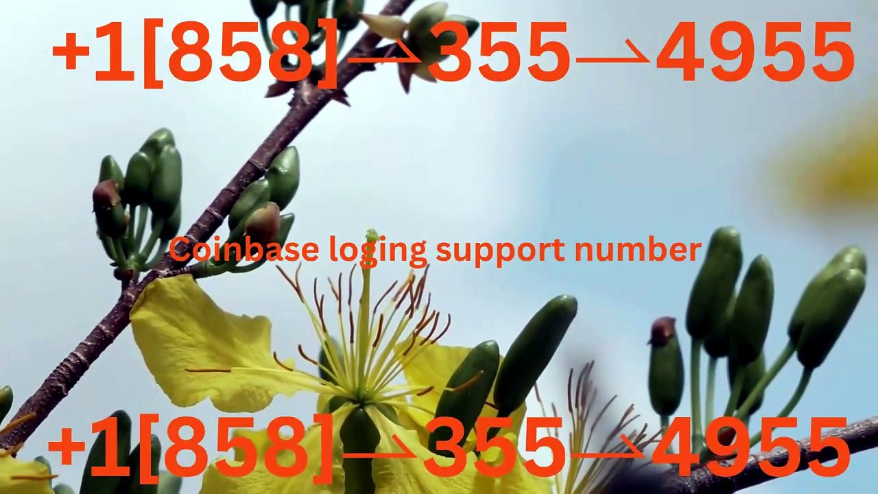 !-EaSsy Ways to Contact Coinbase Toll Free Support Number via Phone, Chat & Email – A Complete Step-by-Step Guide