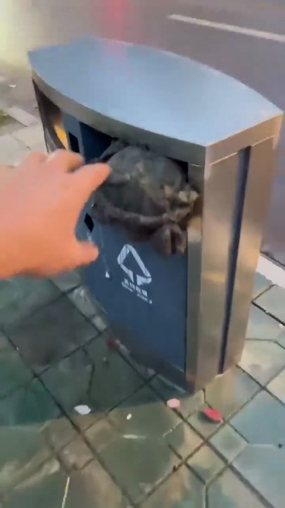 Satisfying video 😁
