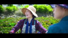 ...Genie.Make.a.Wish.S01E02 [Full Movie] [New Drama]Full EP - Full