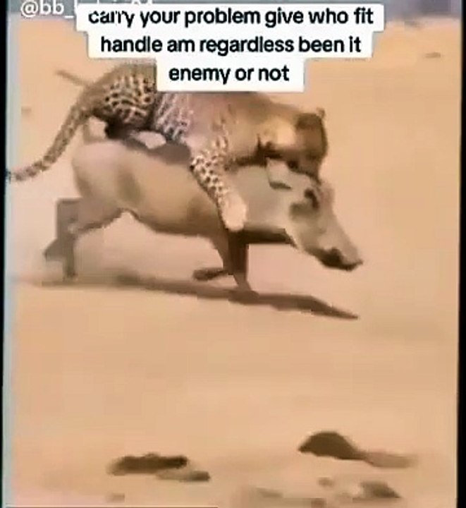 snaptik_7633840977567878420_v3