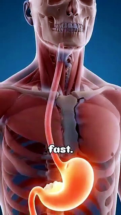 What Happens If You Eat Garlic on an Empty Stomach healthtips shorts garlic facts