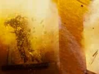 trailer Punisher: War Zone