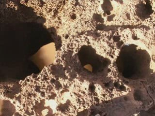 Plage Iftane (Près d'Essaouira)