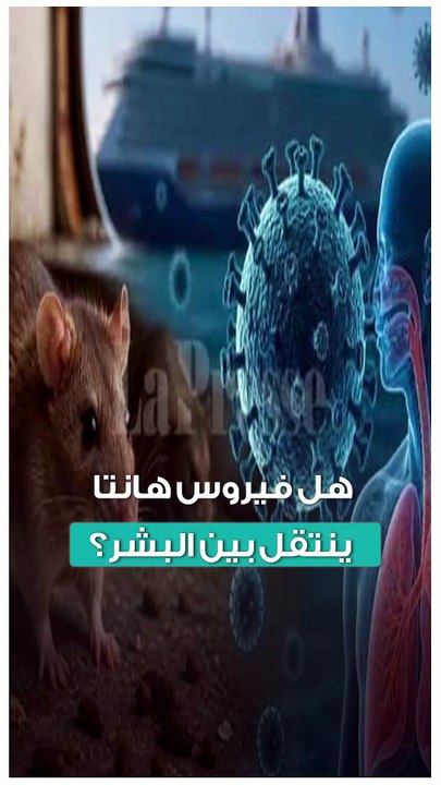 هل فيروس هانتا ينتقل بين البشر؟.. مستشار رئيس الجمهورية للصحة يحسم الجدل