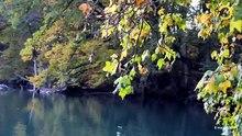 Sans commentaire: descente du Rhône.