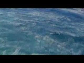 Def Tech - Catch The Wave