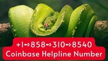 【ALL-IN-ONE】 ≋【Coinbase® {Help Desk Wallet SuppoRt}™ — Toll-Free Numbers & Support Options