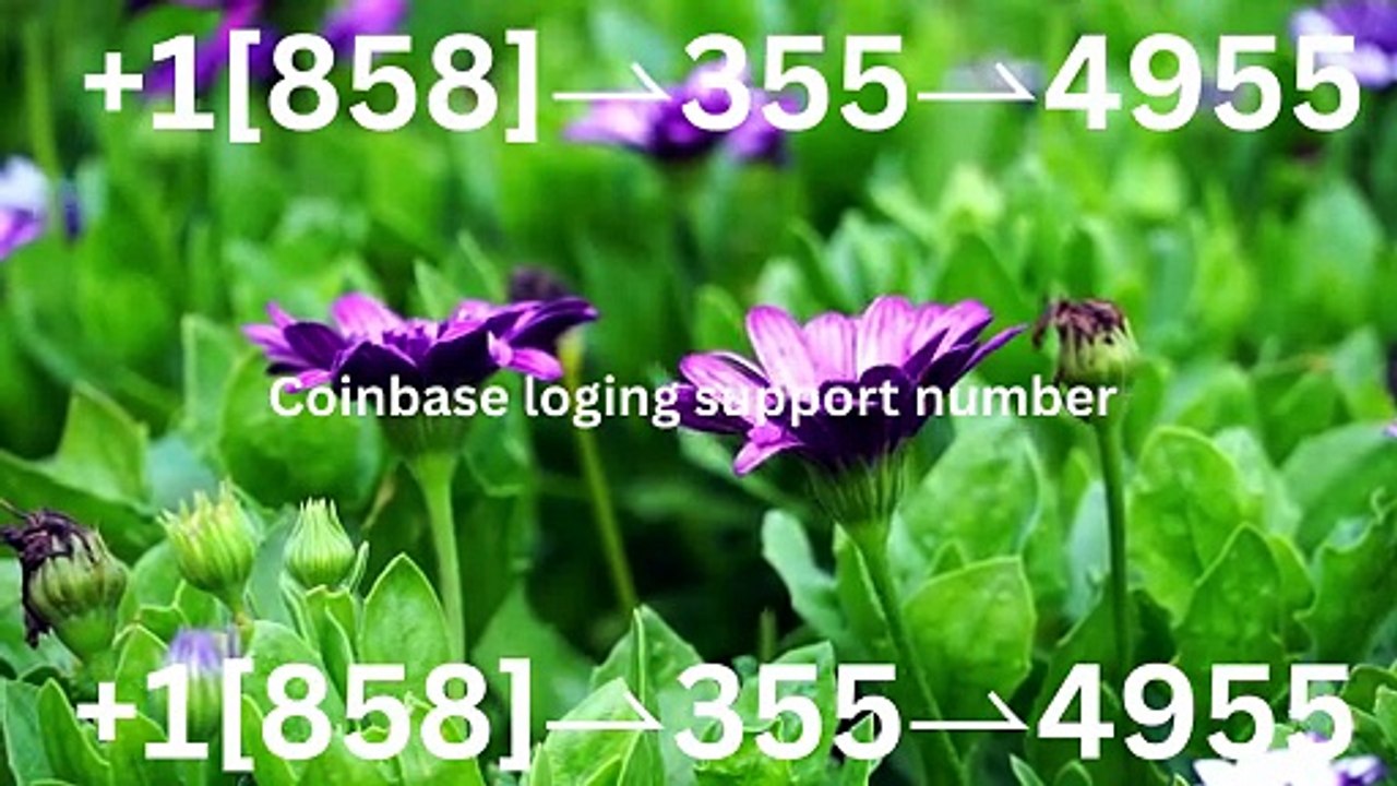 !!!!Complete List of Official Coinbase Customer Service Number, HELP-DESK Helpline 24/7