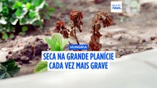 Hungria: situação de seca está a agravar-se