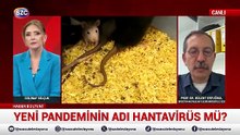 Hantavirüs Nedir? Belirtileri, Bulaşma Yolları ve Korunma Yöntemleri