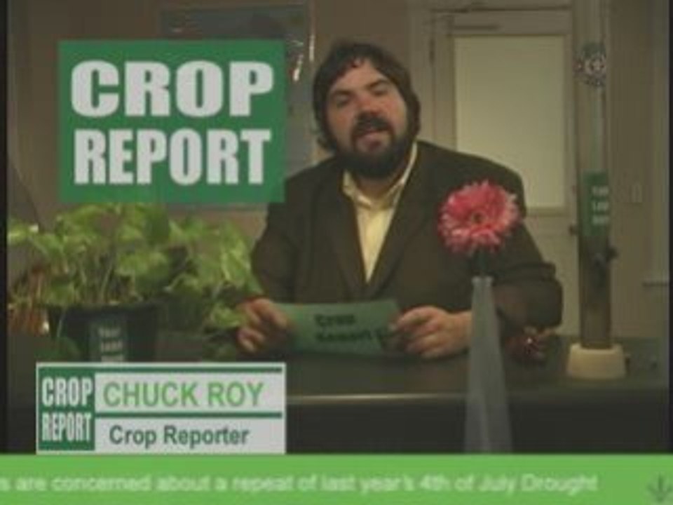 Crop Report Wind Farm Weed