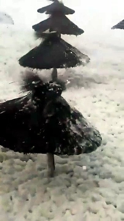 Las playas de Quequén, invadidas por espuma marina CORTO
