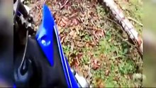 PARANORMAL SUR LE VIF 8   2026