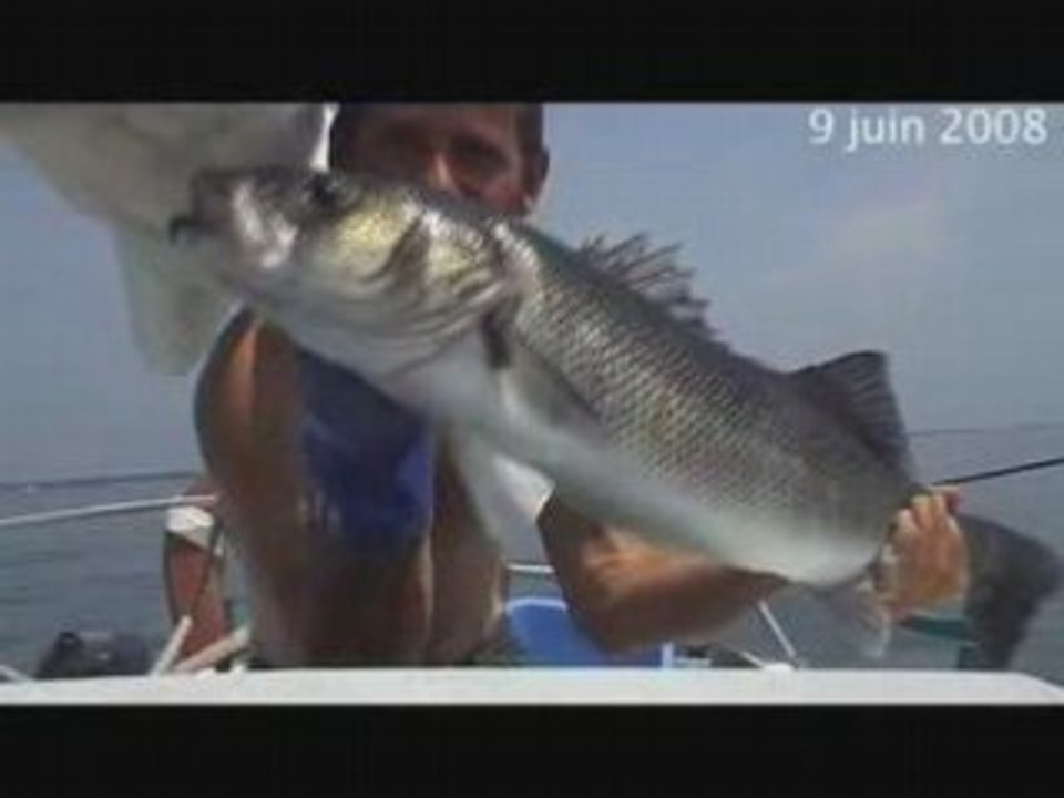 Megabarjuin08