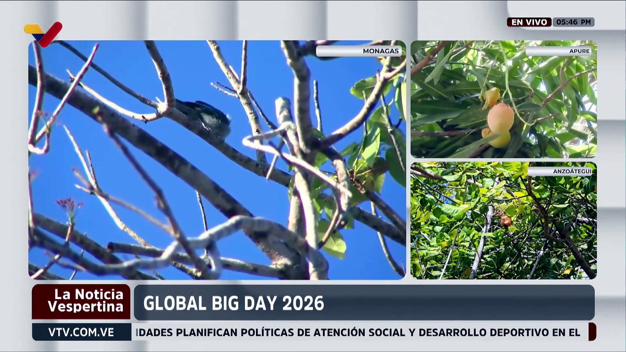 19 especies de aves se han encontrado en el Parque Zoológico La Guaricha durante el Global Big Day