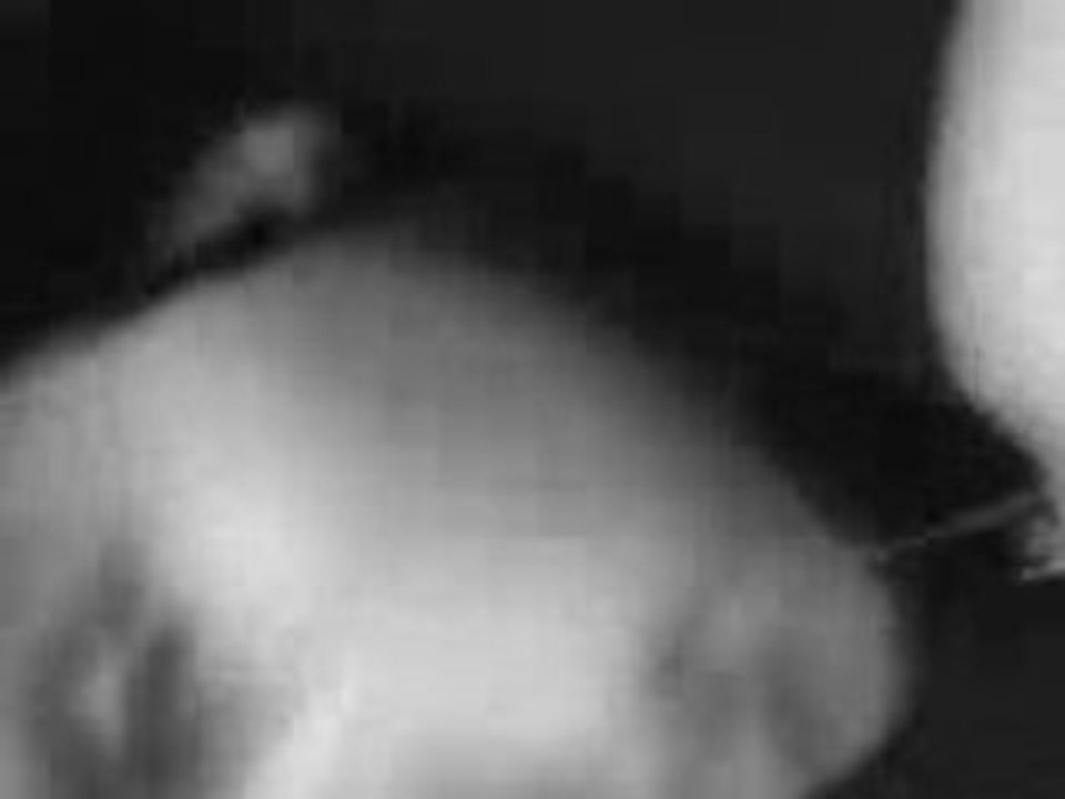 MOV00037