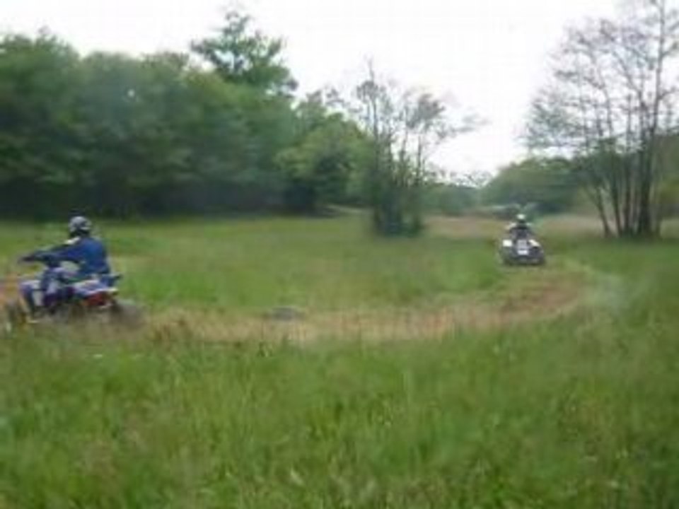 350 warior vs 350 banshee