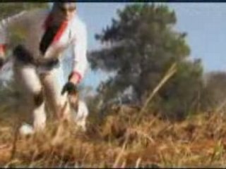 DEMO BOOMERANG EFFECT