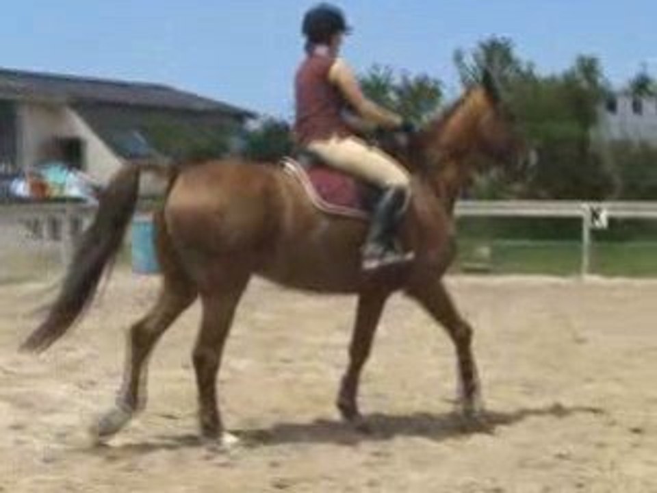 Concours Paddock Mahalon