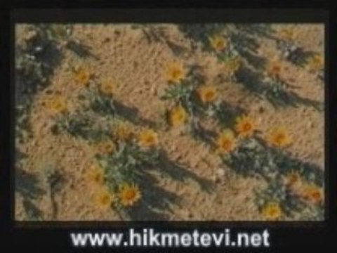 Hz. peygamberin doğumu-seyfullah kartal