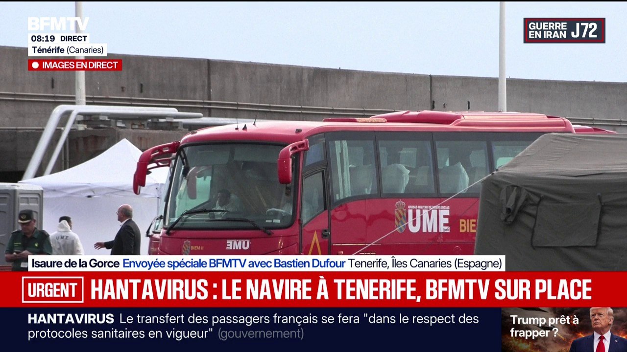 MV Hondius: comment va se dérouler le débarquement des passagers?