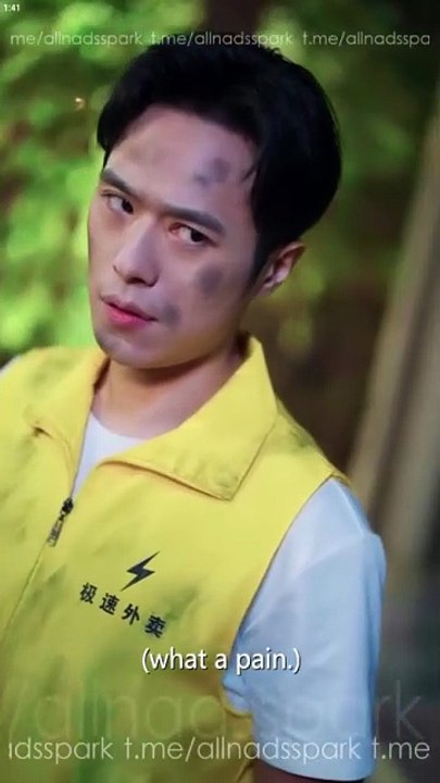 THE GRANDMASTER BODYGUARD