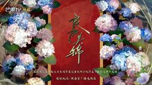良陈美锦未删减完整版-第15集线上看 - 独播库