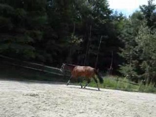 Opium saut en liberté 85cm
