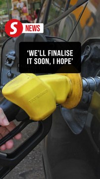 Proposal to review T20 fuel subsidies to be finalised soon, says PM