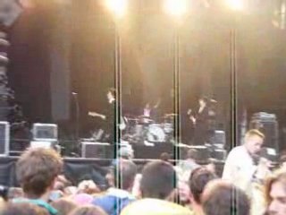 Papillons de nuit 2008 - BB Brunes (2)