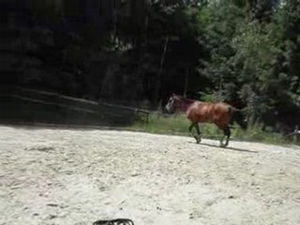 Opium saut en liberté 95cm