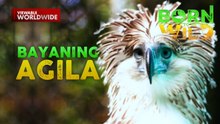 Agilang itinuturing na bayani ng kanyang lahi | Born To Be Wild