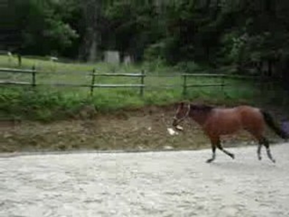 Opium saut en liberté 1m10