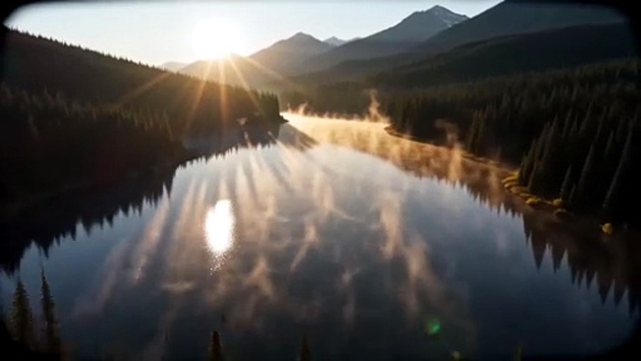 New Trailer